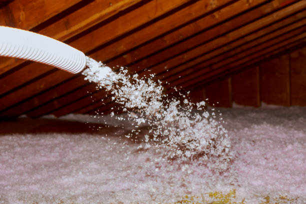 Best Types of Insulation in Robbinsdale, MN