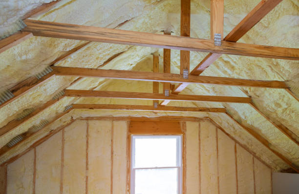 Best Insulation Maintenance and Repair in Robbinsdale, MN