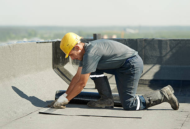 Best Residential Insulation in Robbinsdale, MN